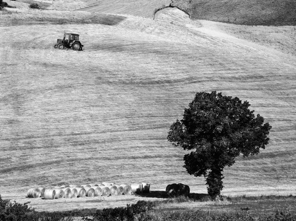 , Людмила Прокофьева