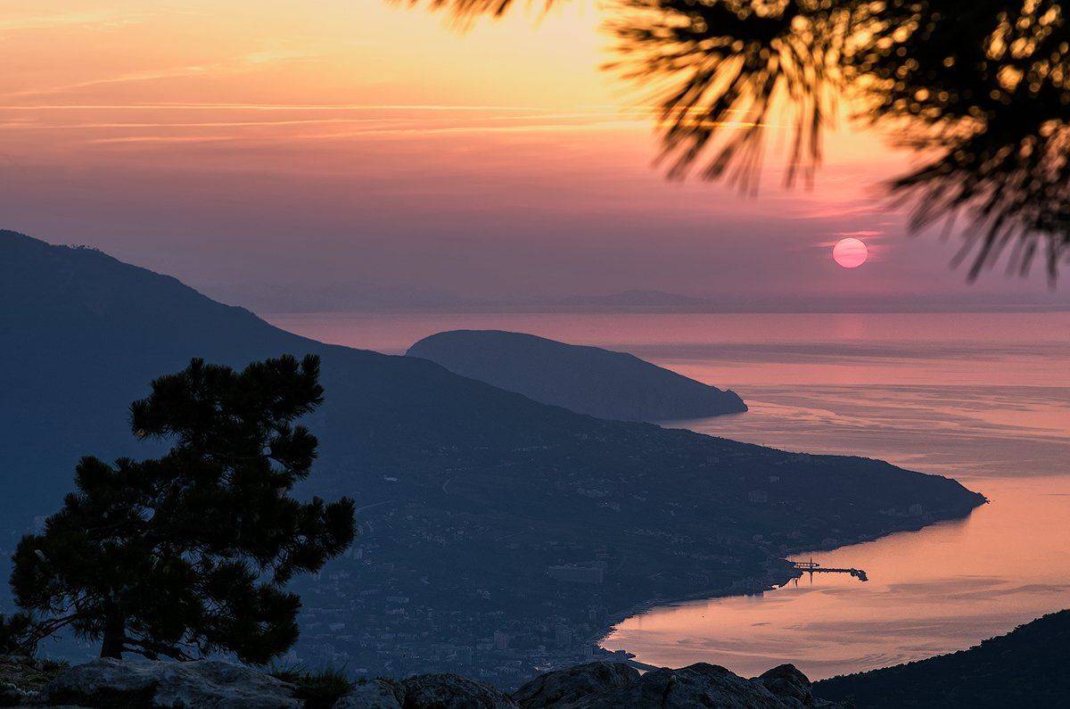 , Игорь Мелекесцев