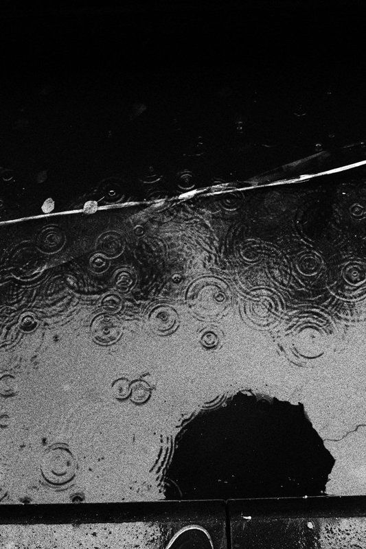 Зерно фото превью