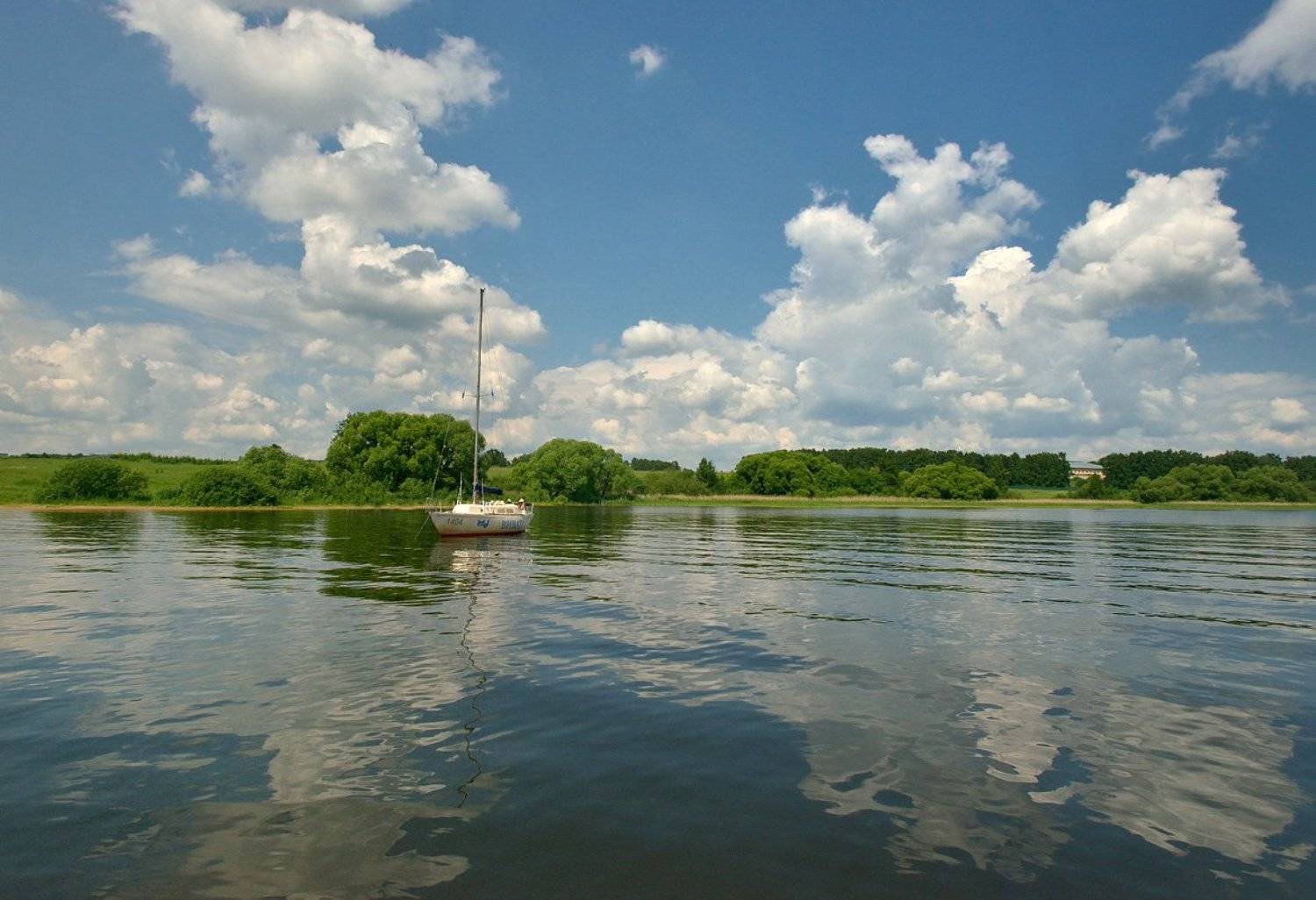 , Сергей Седов