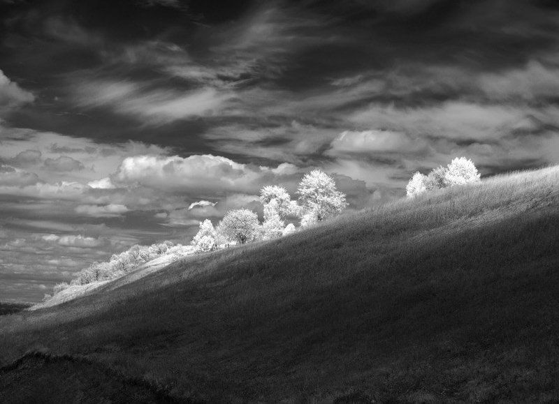 * * * фото превью