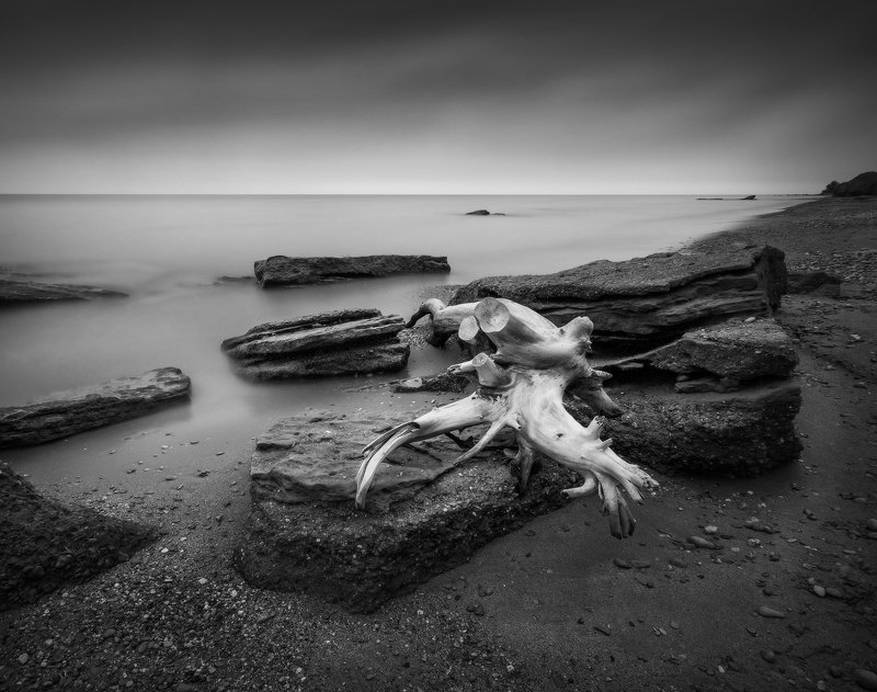 Чудище морское... фото превью