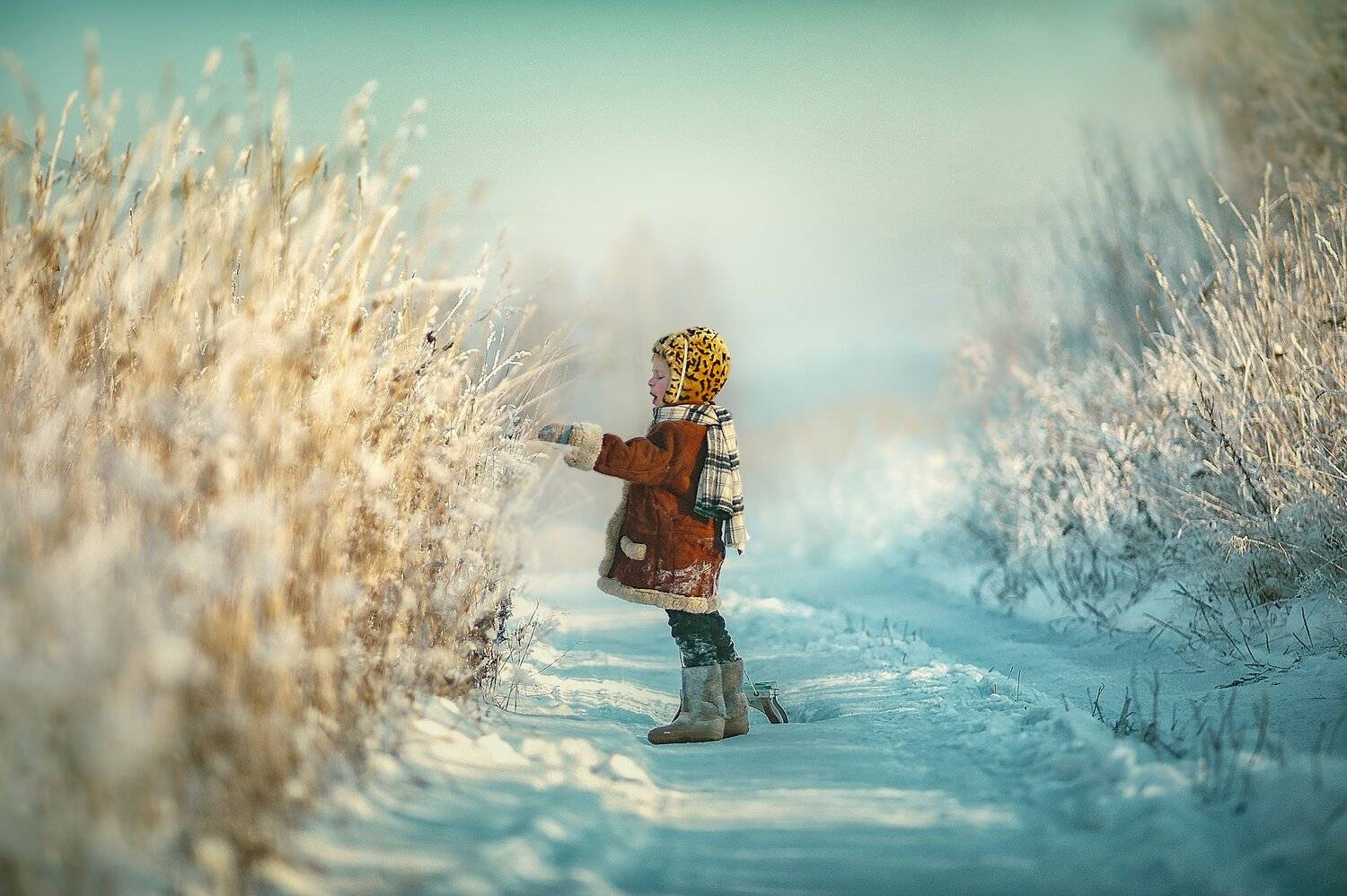 , Ксения Лысенкова