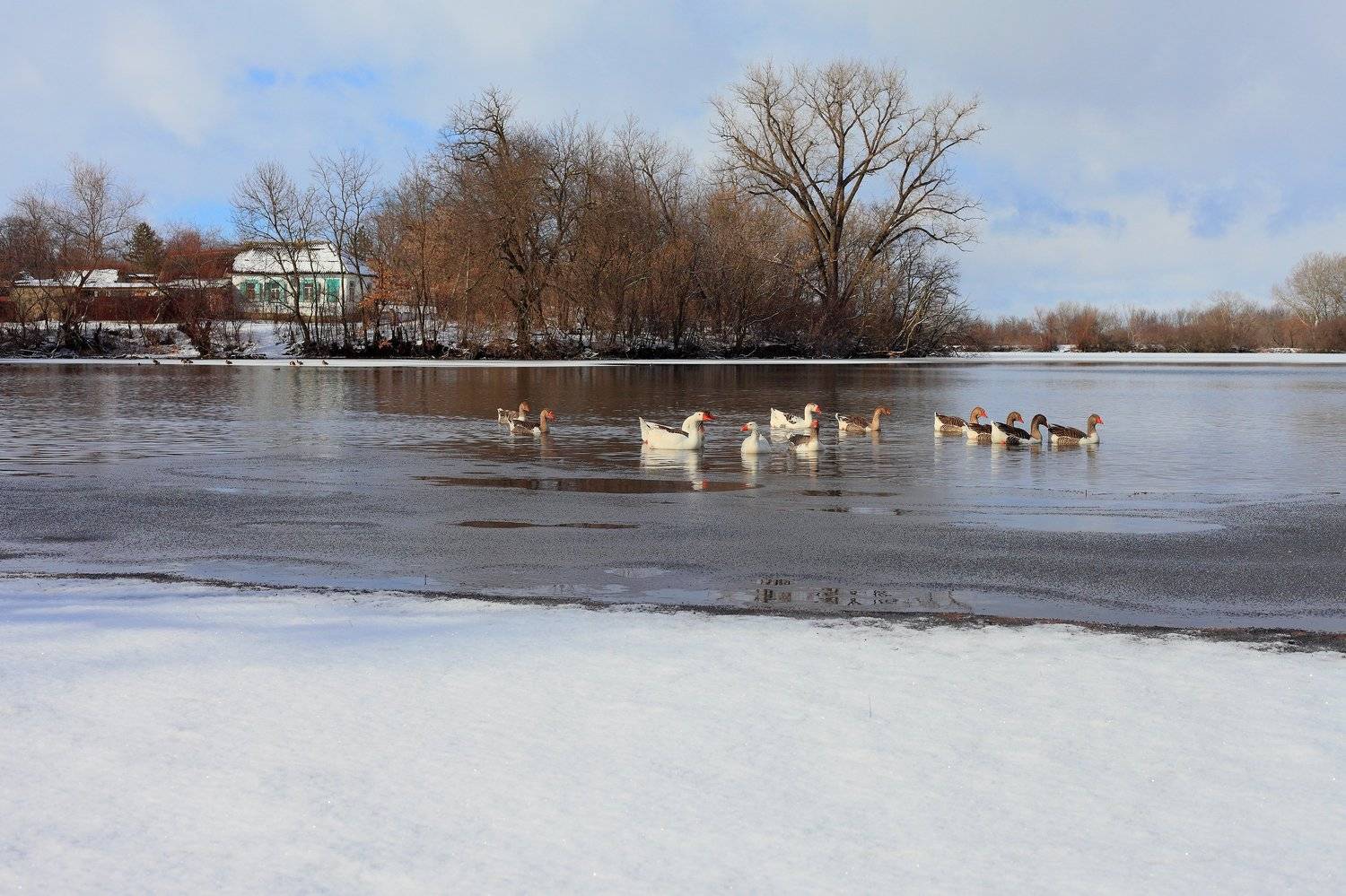 хутор, соколихин,, Евгений Карпенко