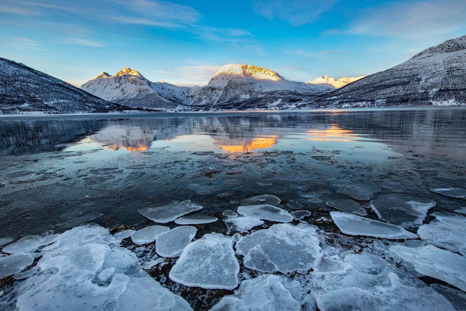 , Тодор Божков