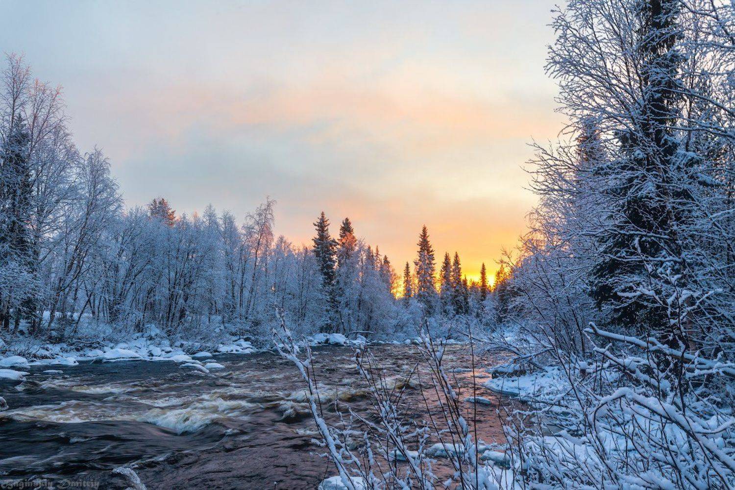 , Dmitriy  Baginskiy