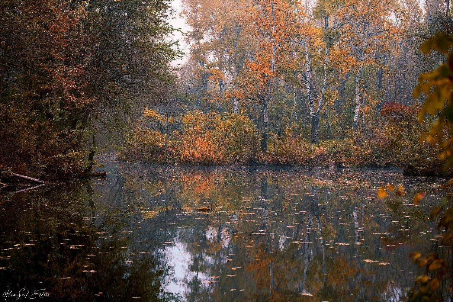 winter, cold, fog, foggy, nature, landscape, photo, walk, photography, passion, view, lake, water, reflection, Alaa Seif Eddine