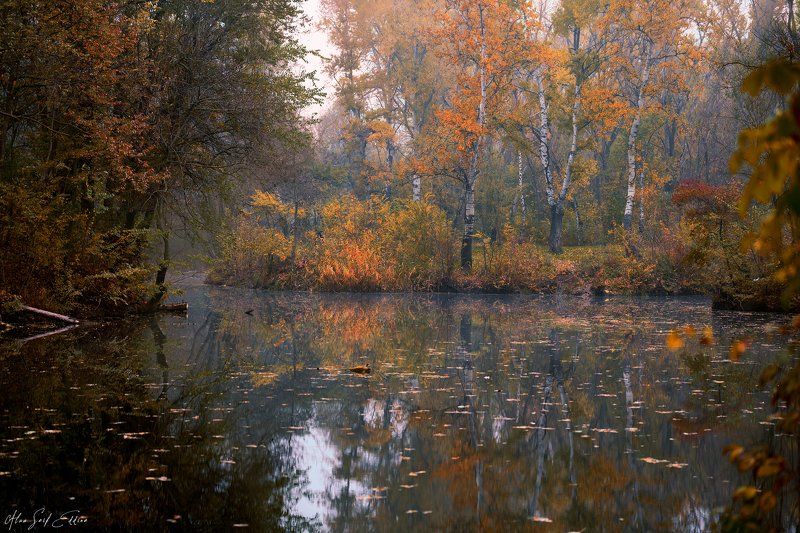 winter, cold, fog, foggy, nature, landscape, photo, walk, photography, passion, view, lake, water, reflection Winter Mood фото превью