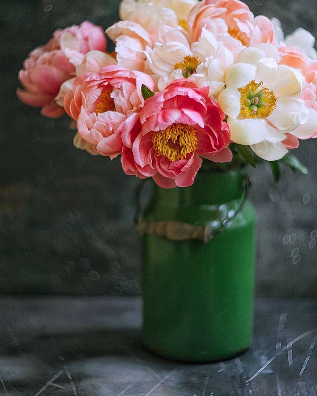 лето, пионы, свет, розовый, желтый, букет, Анастасия Зубкова