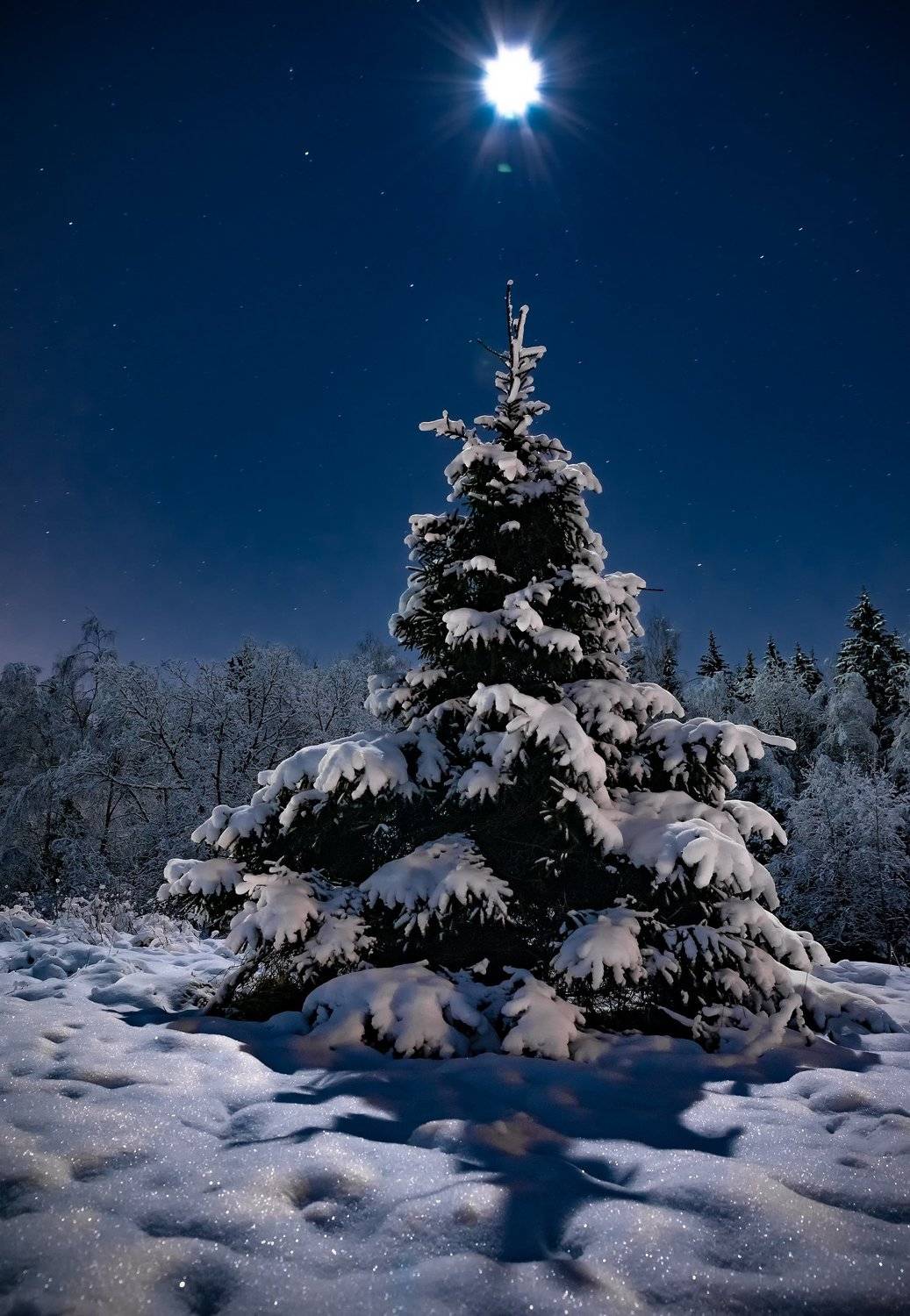 , Руслан Авдевич