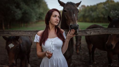 Nine Picture Story-The Lost Lamb