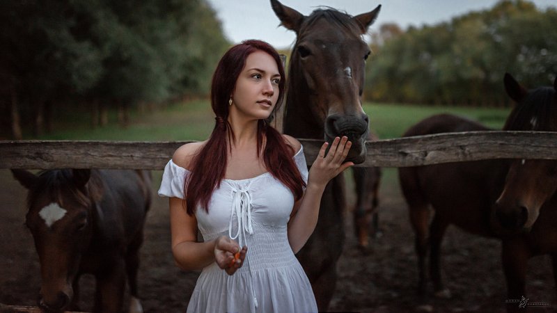 story, portrait, girl, art, model, lamb Nine Picture Story-The Lost Lamb фото превью