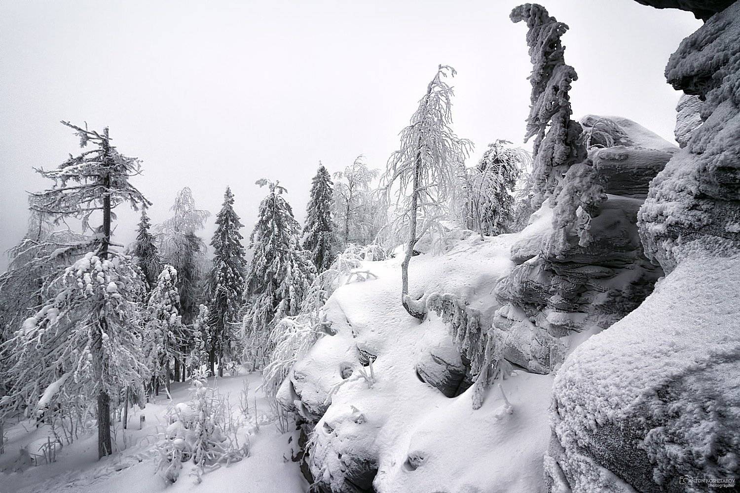 , Антон Кошетаров