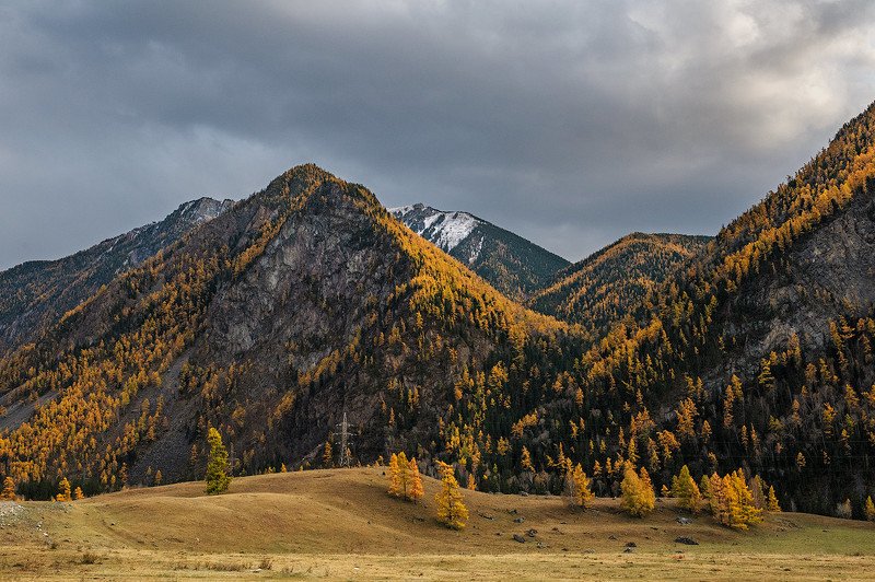 _ фото превью