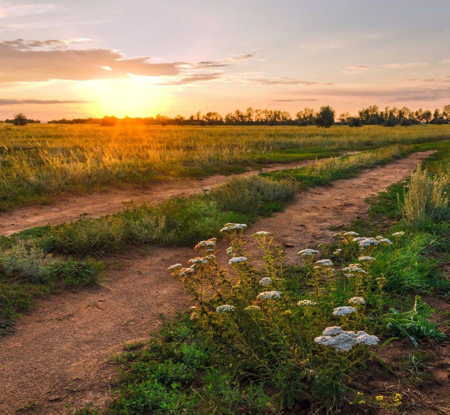 закат, степь, лучи, Андрей Журавлев