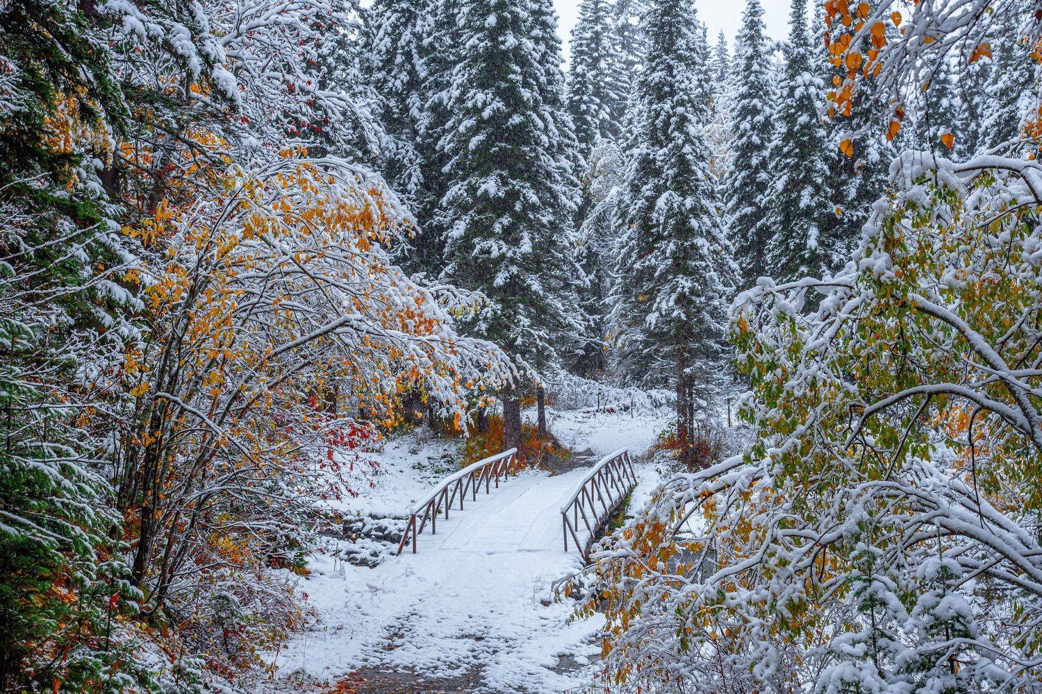 алтай. осень. горы., Евгений Дроботенко