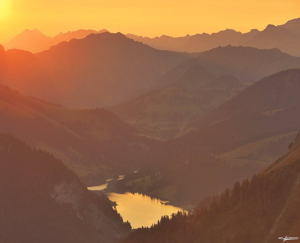 swiss, Матвеев Николай