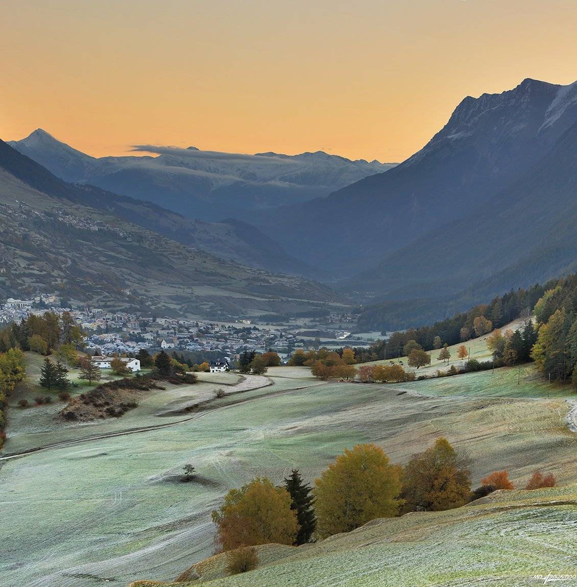 swiss, Матвеев Николай