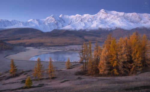 Предрассветная