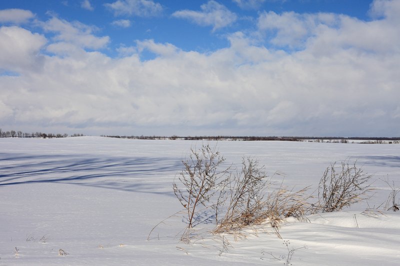 хутор, соколихин,  фото превью
