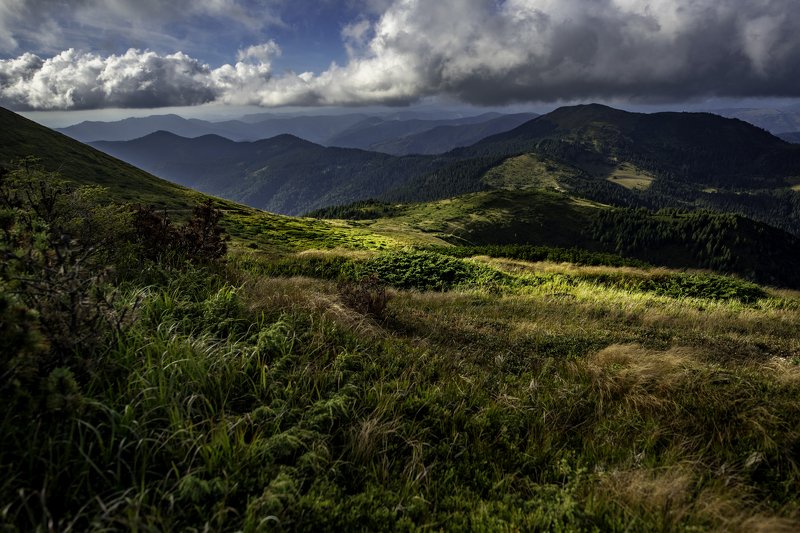 mountains, sun, clouds Cloudy day over the Carpathian mountains фото превью