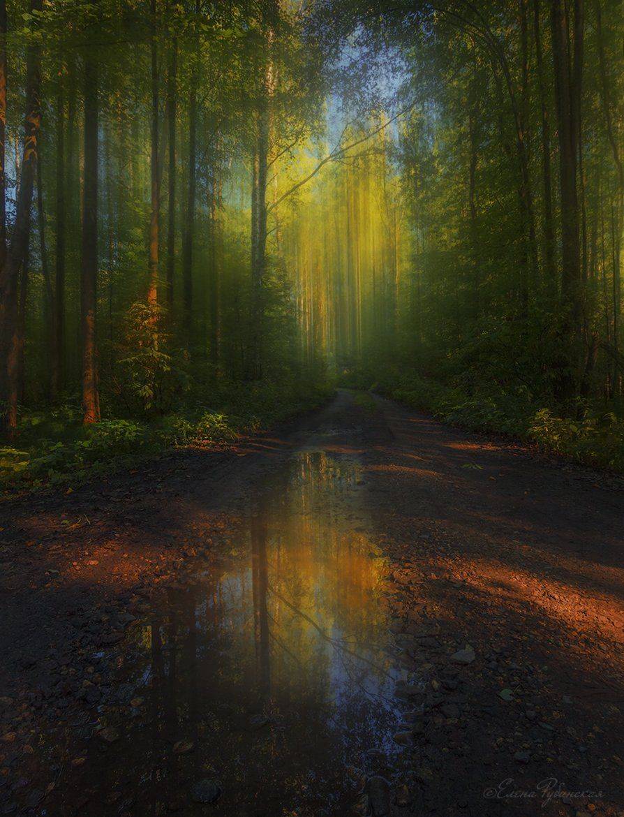 , Елена Рубинская