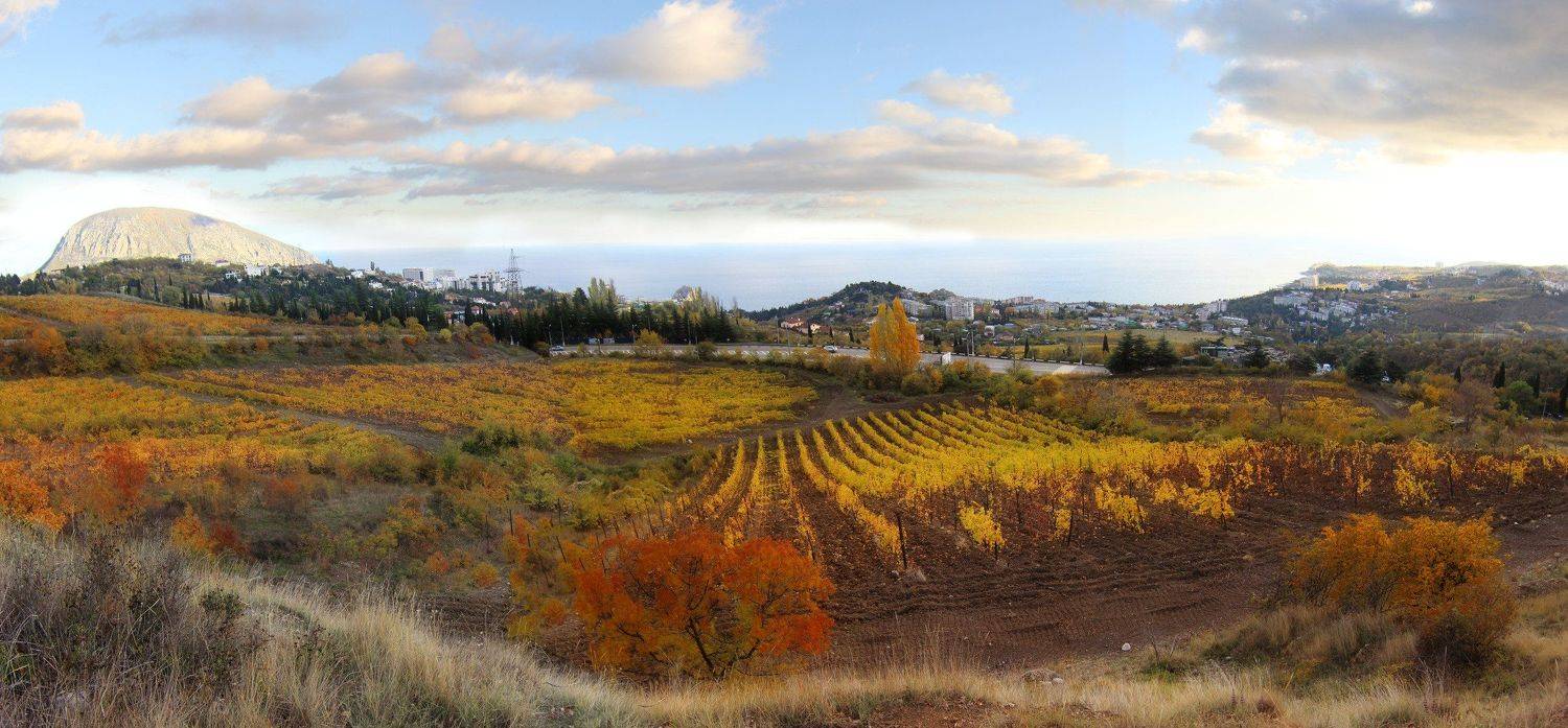 , Ирина Гайворонская