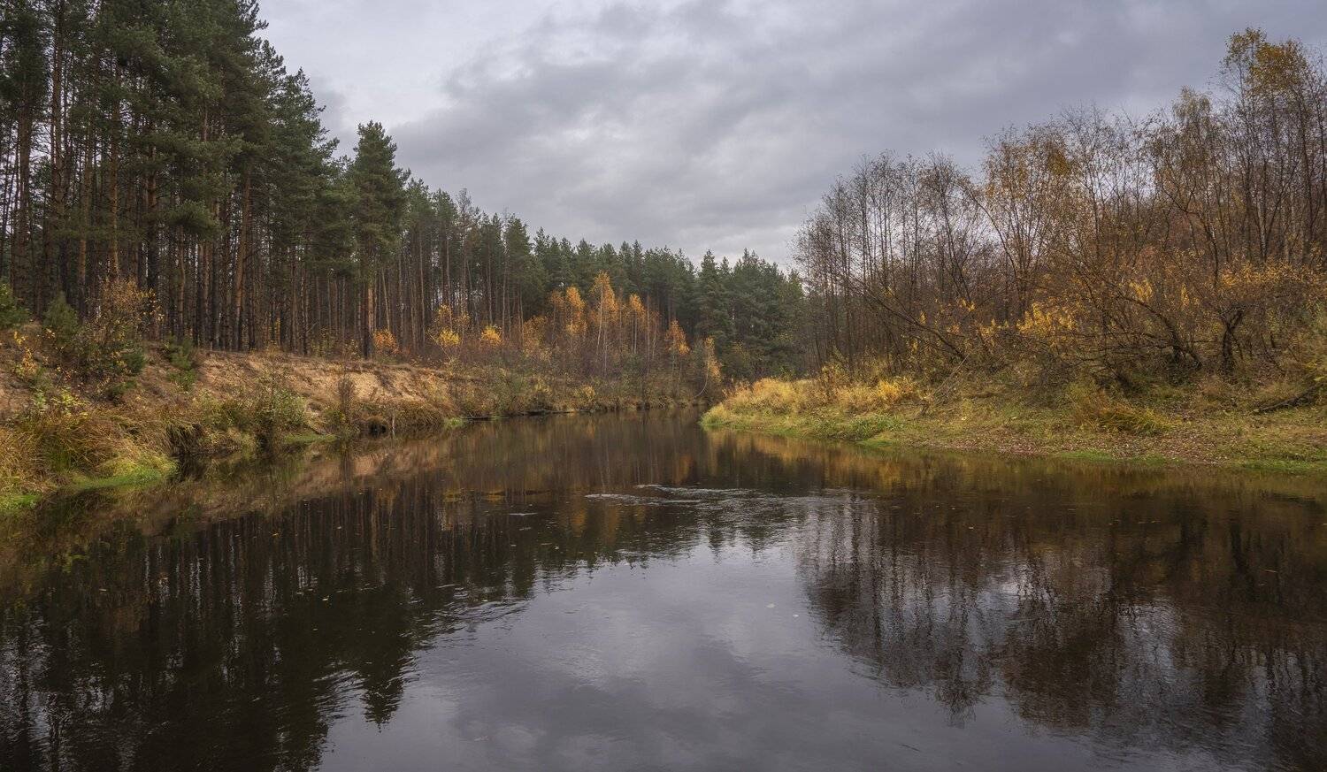 река осень пасмурный день, Андрей Колесов