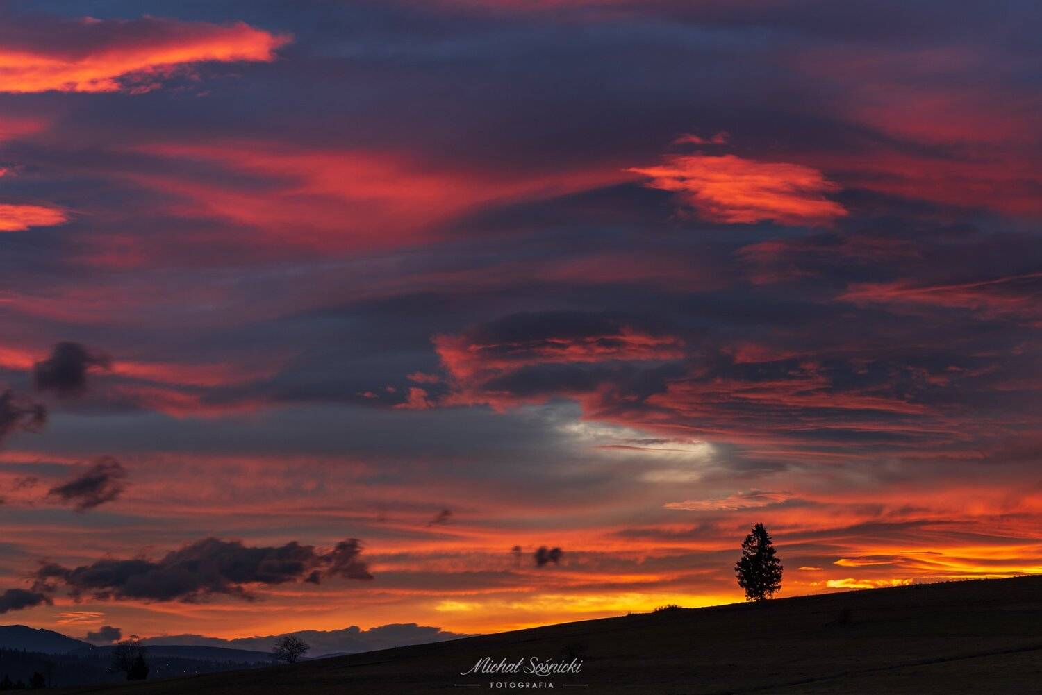 #tree #poland #benro #benq #sky #fire #best #nature, Michał Sośnicki