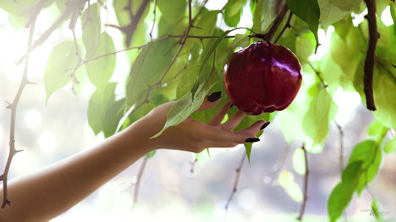 art, , story, , cinematic, girl, , model, , portrait Nine Picture Story- The Path of Sin фото превью