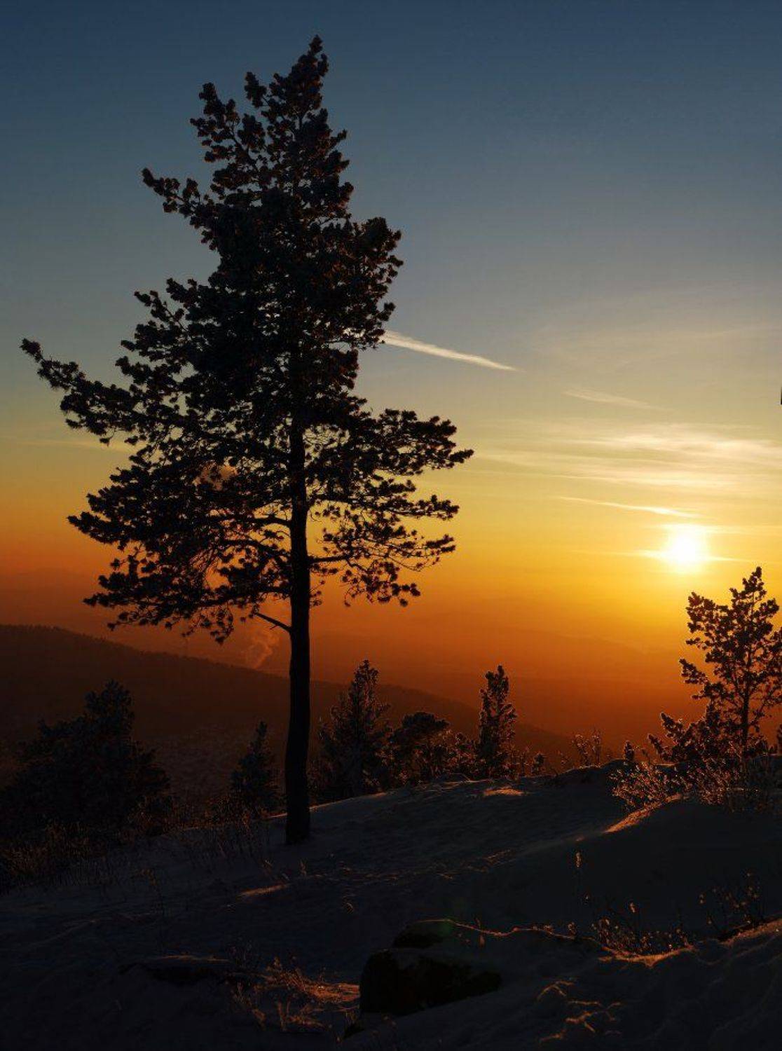 , Кондратьев Алексей