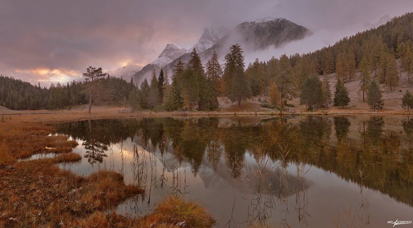swiss, Матвеев Николай