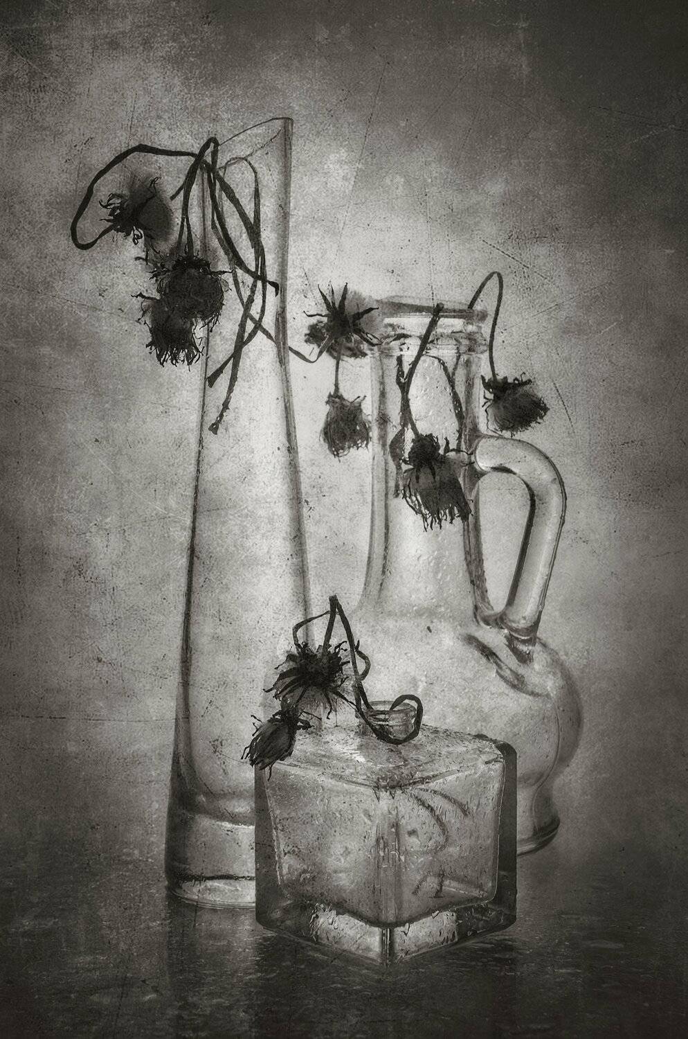 бутылки,стекло,текстура,старость,чахлость,увядание,чёрно-белый,одуванчики,цветы, Владимир Володин