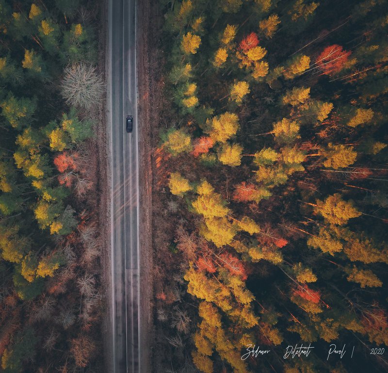 ленинградская область_выборгский район_дорога_закат_декабрь_машина_лес_красный_жёлтый_зелёный_пейзаж_аэросъёмка *** фото превью