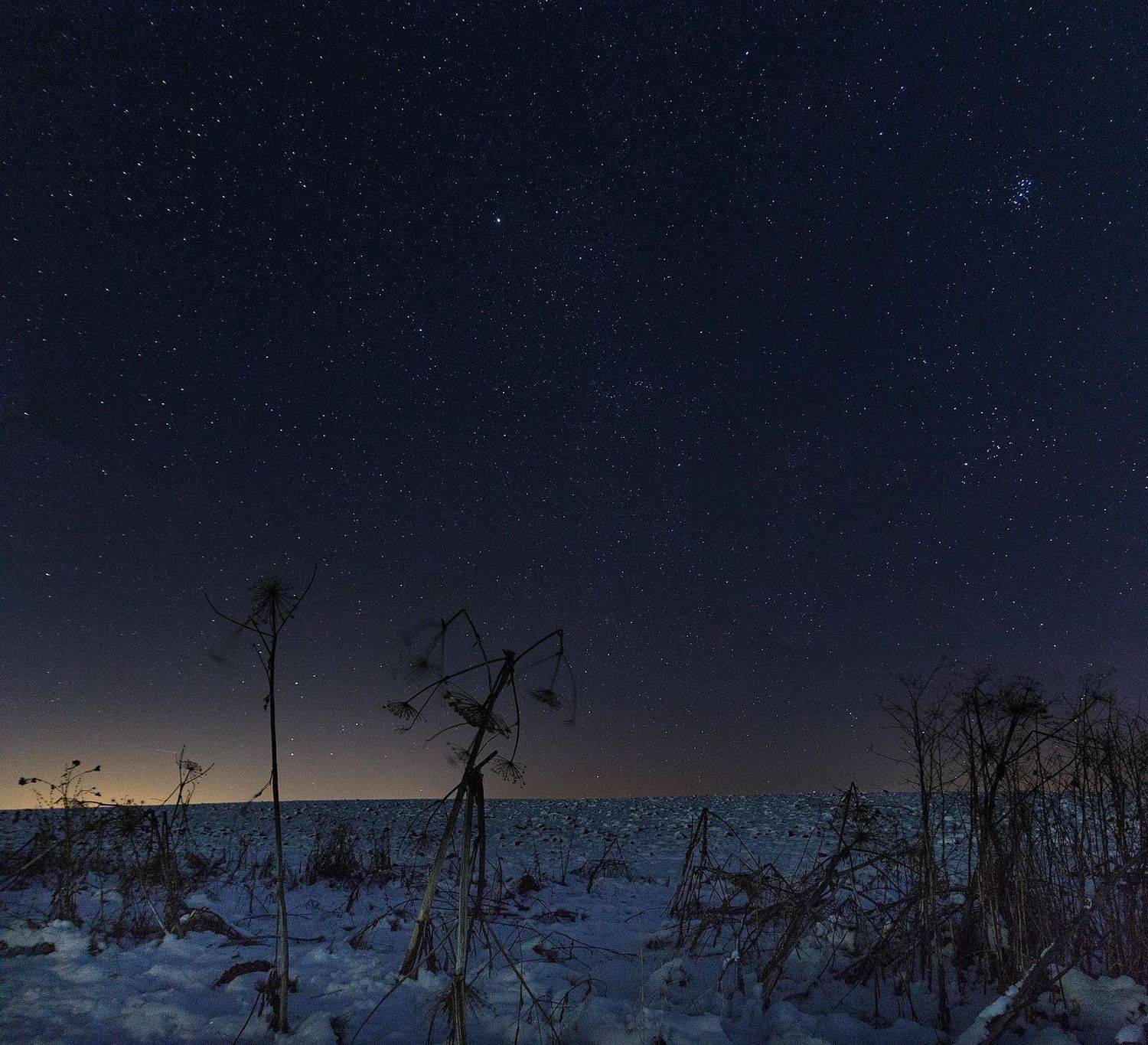 ,  Александр