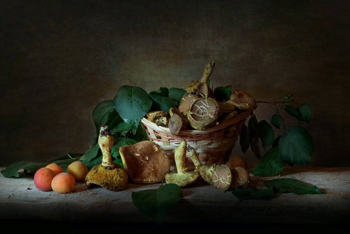 грибы,абрикосы,лето,натюрморт, Елена Брежицкая