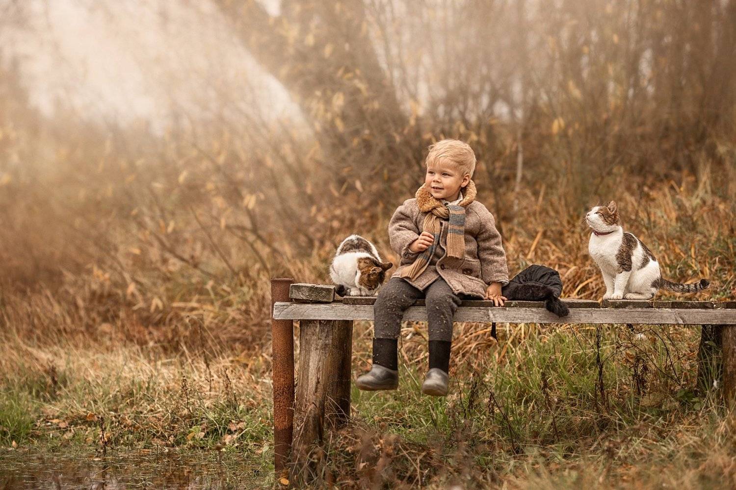 дети, деревенские дети, деревня, мальчики, мальчишки, дети и животные, кошка, кот, осень, Елена Чернигина