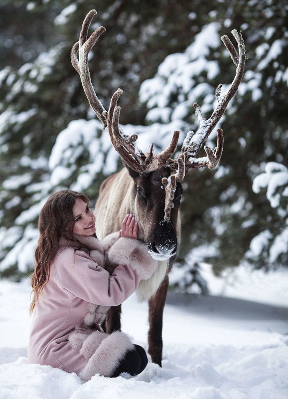 Олень, северный, девушка, красотка,зима,природа, deer, reindeer, girl, beautiful, winter, nature Вот ты какой, северный олень! фото превью