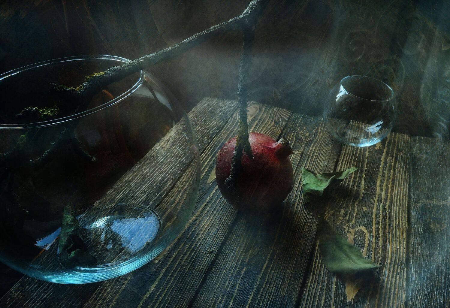 , Ирина Данилова