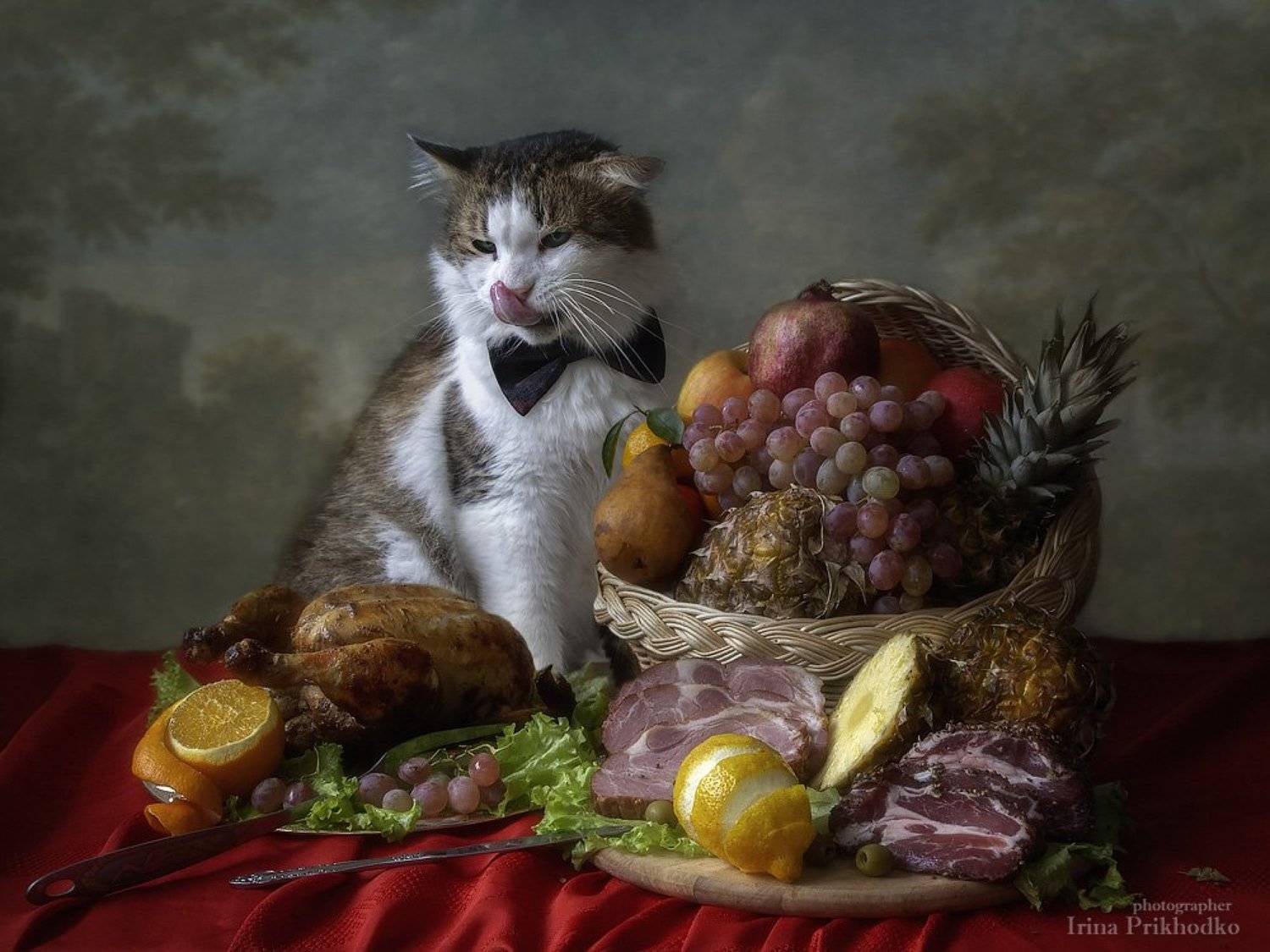 натюрморт, еда, изобилие, домашние животные, кот Лёва, котонатюрморт, постановочное фото, любопытные пушистики, Ирина Приходько