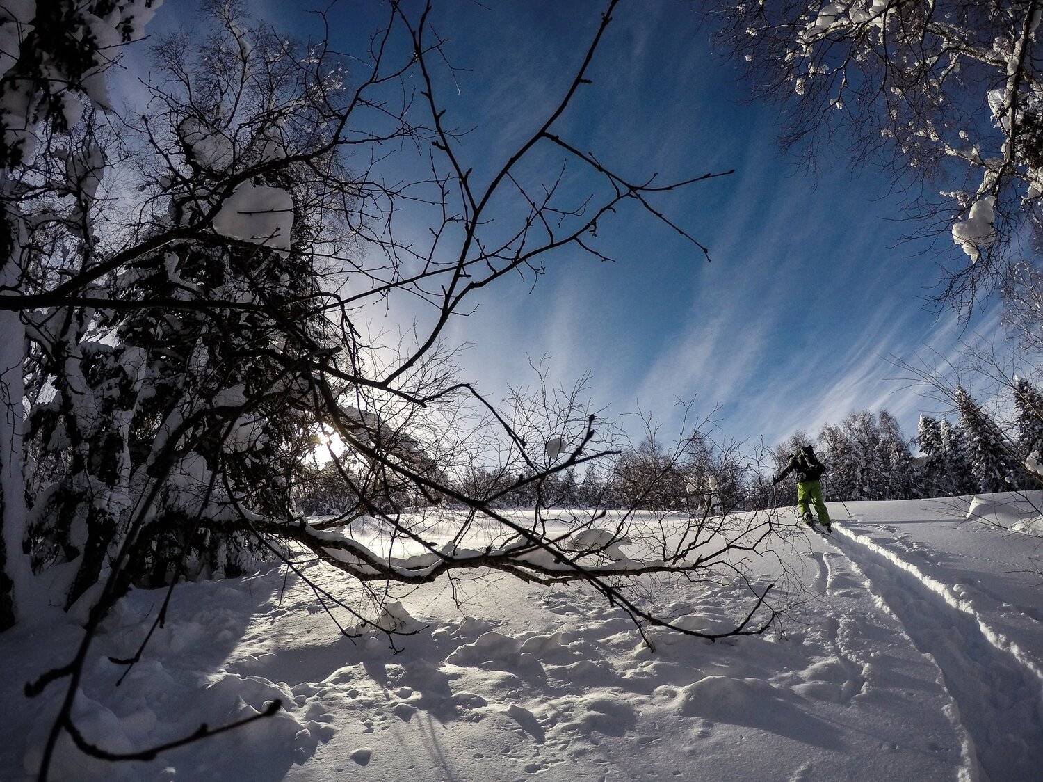 , Юрий Шумейко