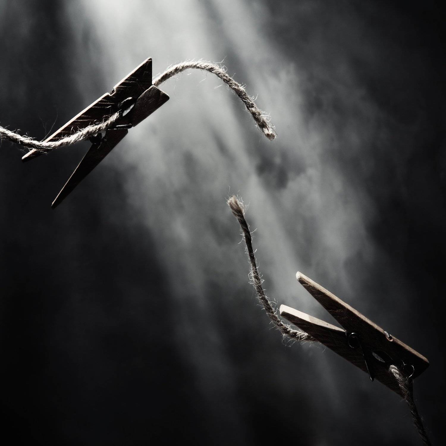 , Лариса Лофицкая