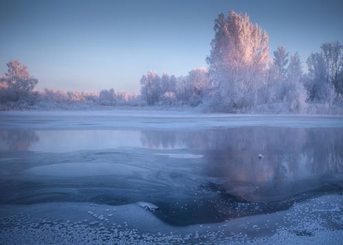 Сиреневое утро