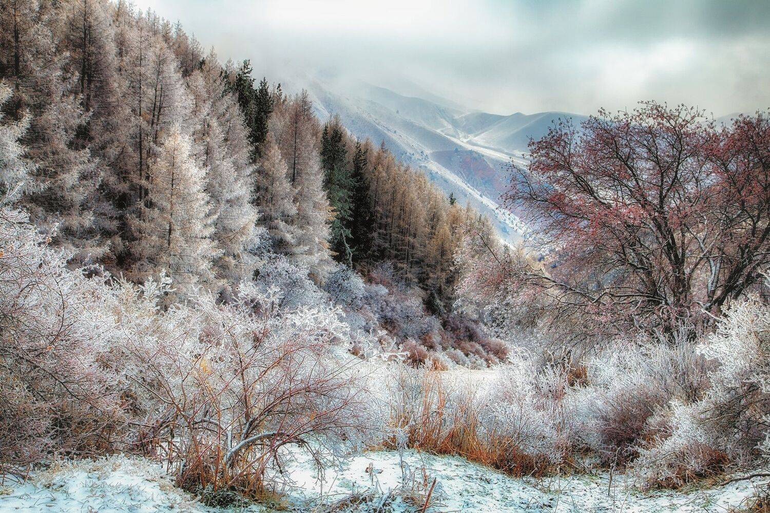 кыргызстан, горы, Элина Магалимова