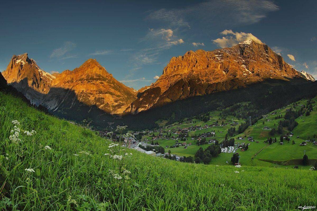 swiss, Матвеев Николай