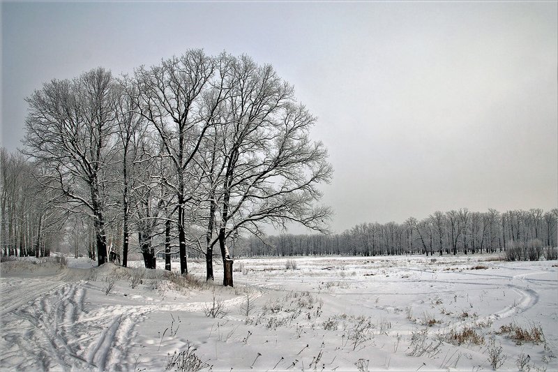 *** фото превью