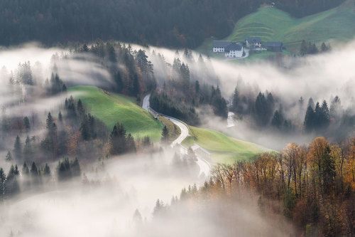 A morning dream...