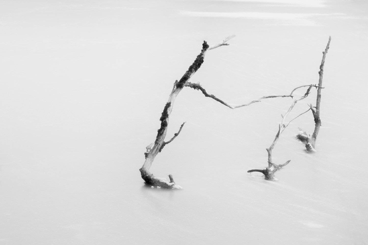 , Михаил Кушнер