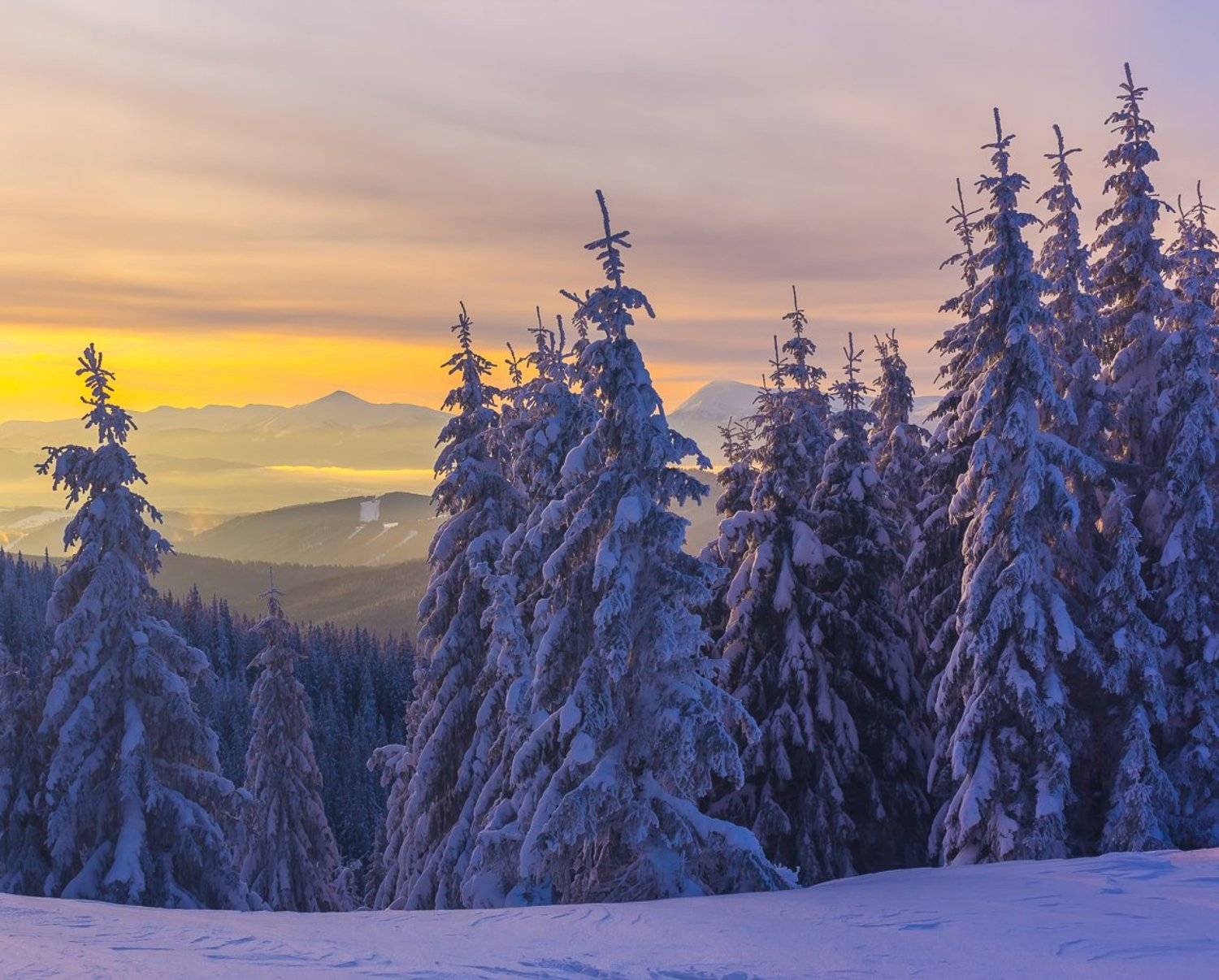 , Александр Подрез