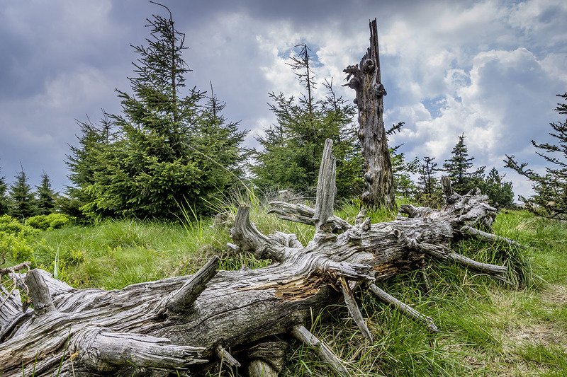 Upper Lusatia, right at the top. фото превью